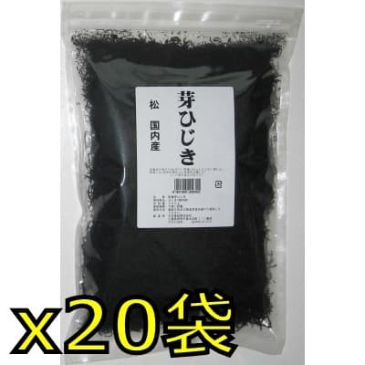 芽ひじき松国内産 500g x20入